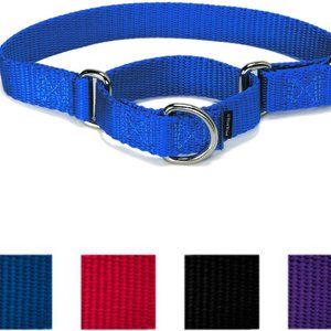 NWOT Nylon Martingale Dog Collar UNUSED